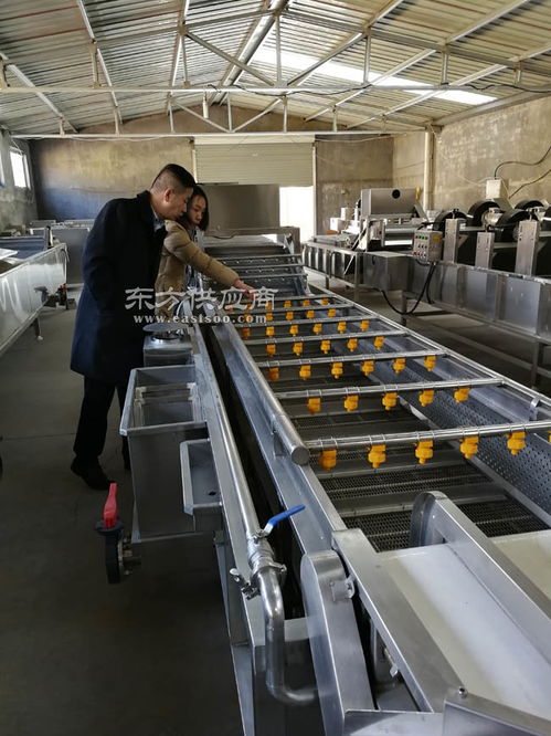 番茄网带清洗机多少钱 诸城利特食品机械公司 番茄网带清洗机图片