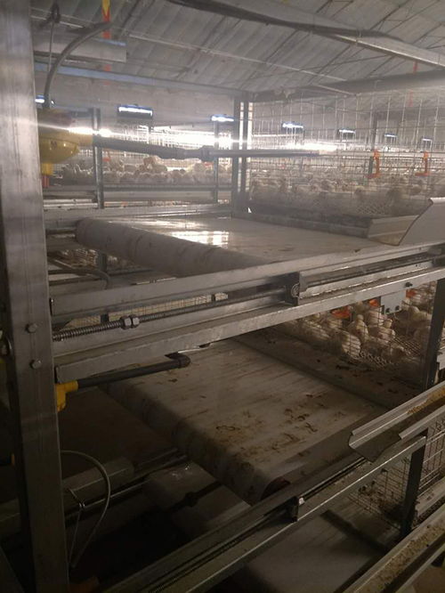 运盈机械生产厂家 图 肉鸡笼量尺定做 肉鸡笼